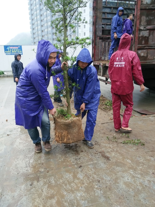 ��Ȧ- Ϊdu����