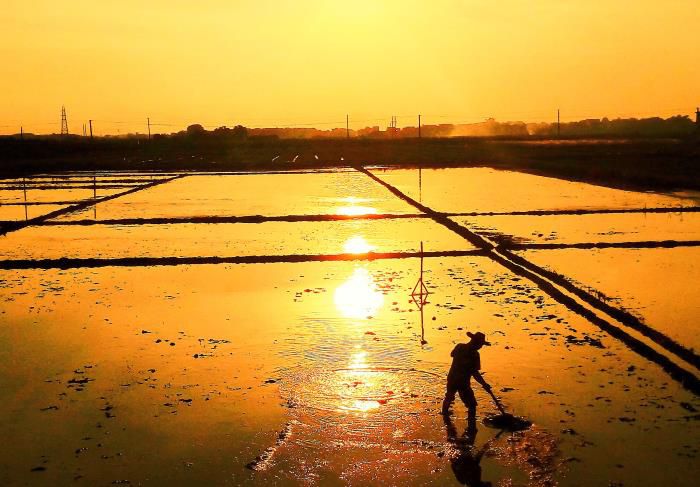 5��Ӱ��Ʒ�������������Ƚ���Τ��ΰ ��-13768307144700.jpg