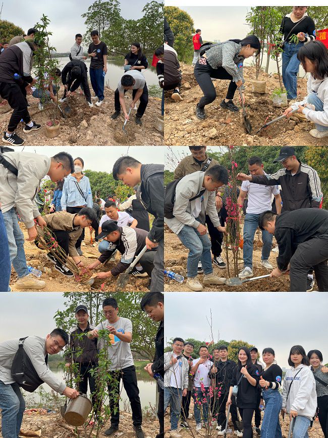 ֲ���ֳ������� �㣨��ͼ��.jpg